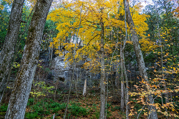 Beautiful Late Fall-88