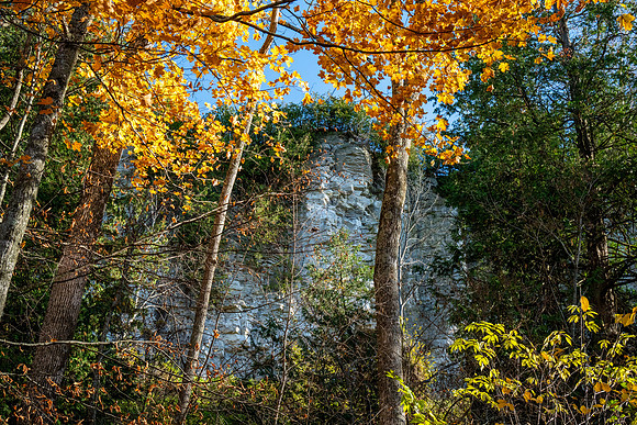 Beautiful Late Fall-91