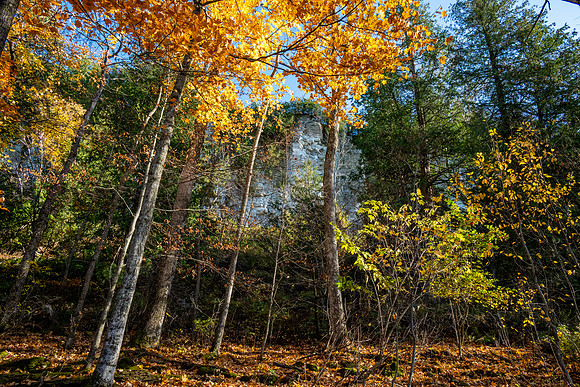 Beautiful Late Fall-32
