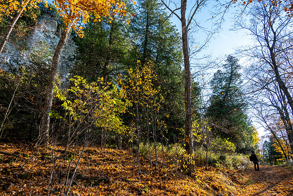 Beautiful Late Fall-7