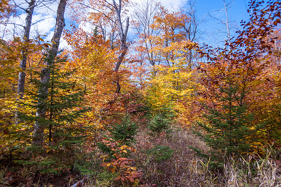 BoosBluffFall14-115