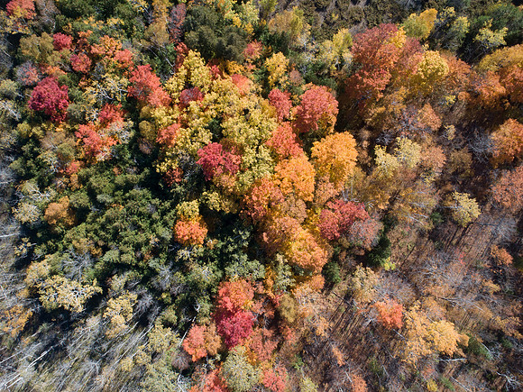 FallDrone-18
