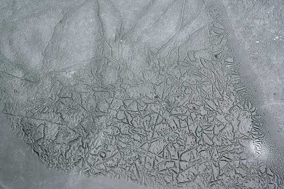 eggmarinaice-68
