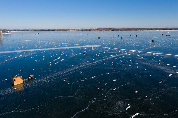 icefish-366