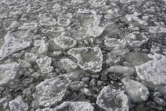 01-17-2021-Dan Eggert-Sturgeon Bay Ice Edge-4