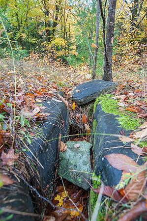 LautBacWoodFall14-114