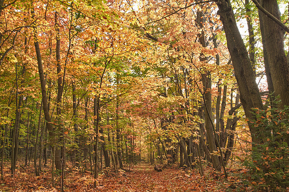 FallFarm-15_HDR