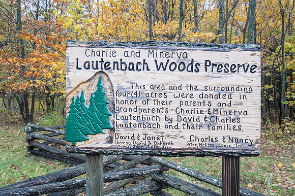 LautBacWoodFall14-1