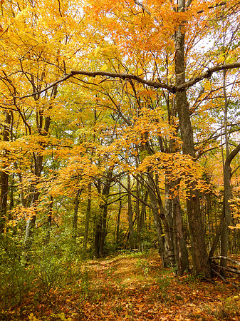 FallFarm2013-114