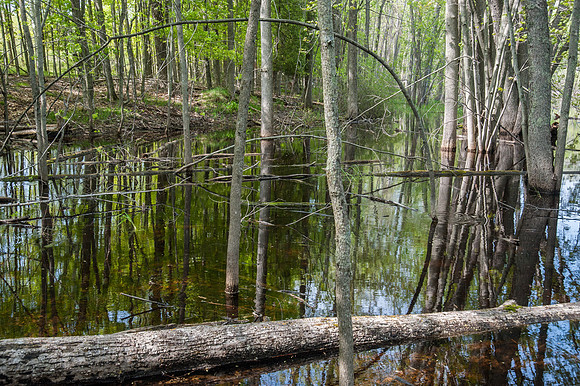AndersonPond-95