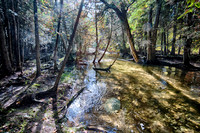 HeinsCreekSalmon-27_HDR