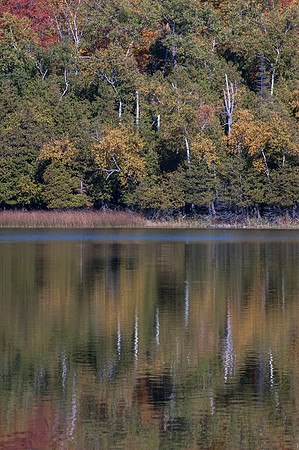 LittleLakeFall14-125
