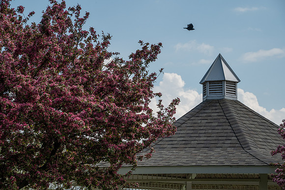 EphBlossomPark-11