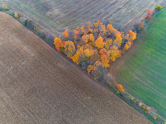 FallDrone-240