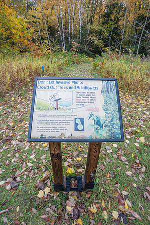 LautBacWoodFall14-2