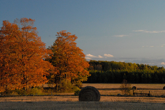 1007MoreFall-143