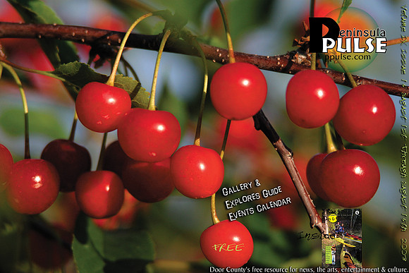 ppv9i15_cover_sm