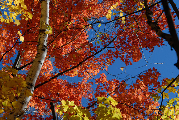 1007LateFall-78