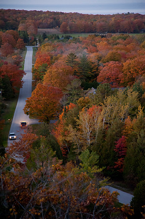 FallColorDay-9
