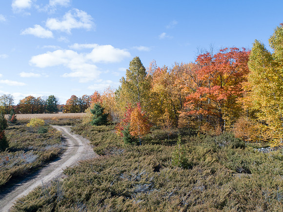 FallDrone-1
