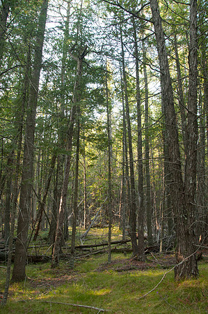05292009ThreeSprings2947