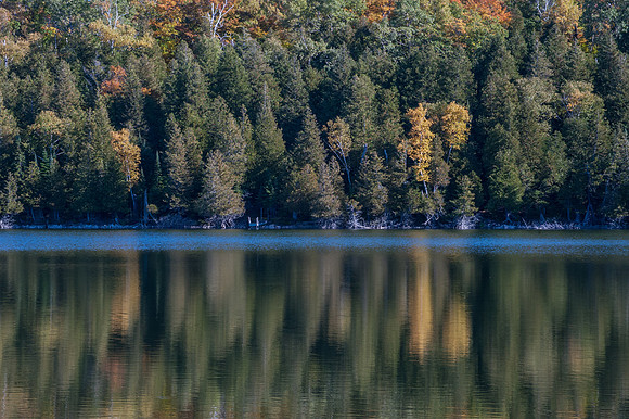 LittleLakeFall14-99