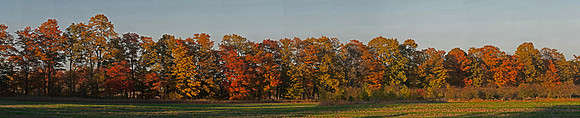 SwensenFallPano01