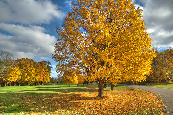 GoldHDR03