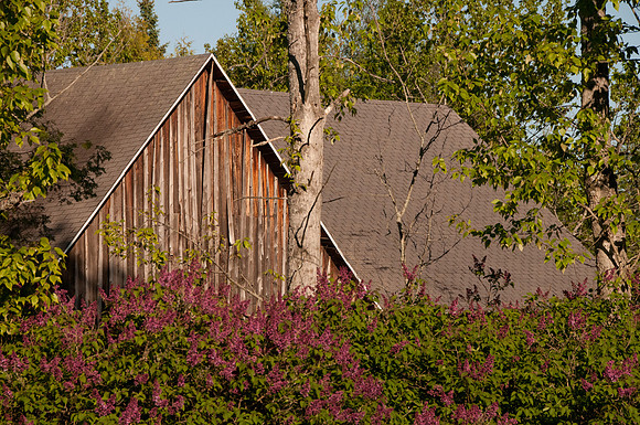 05292009ThreeSprings2852