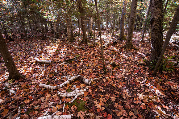 LittleLakeFall14-12