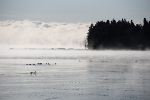 02-11-2021-Dan Eggert-Toft Point Sunrise Ice-10