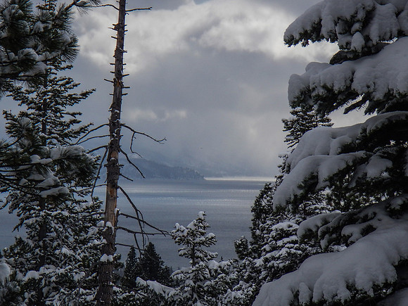 1207Snowshoe-88