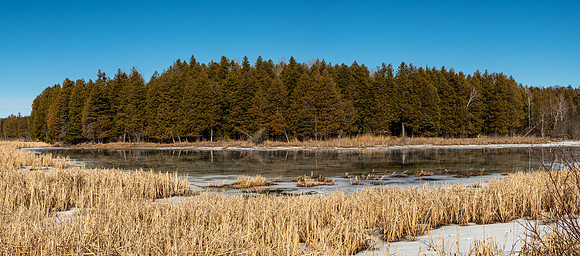 03-07-2021-Dan Eggert-Peninsula State Park Water over Ice Marsh Reflection-1