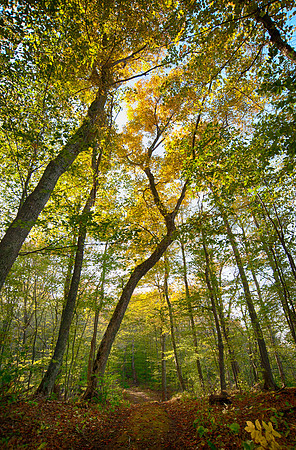 2011RockFallTrip-360_HDR