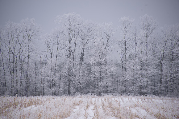 morefrost-34