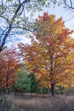 BoosBluffFall14-118