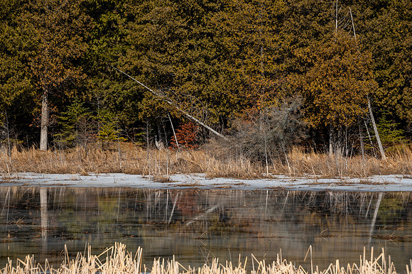 03-07-2021-Dan Eggert-Peninsula State Park Water over Ice Marsh Reflection-5