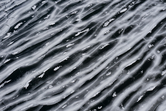 icefish-258