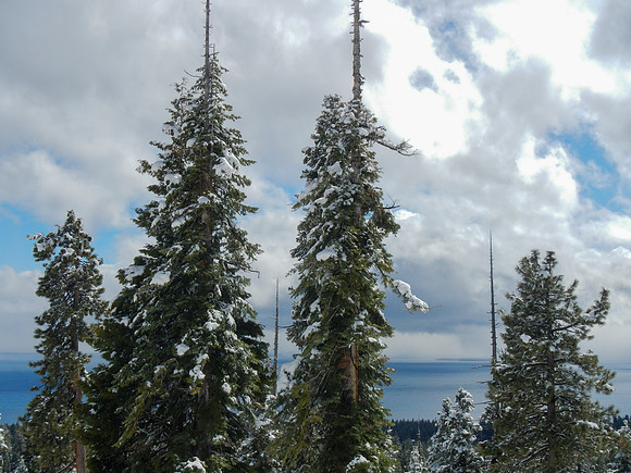 Snowshoe3-28-12-152