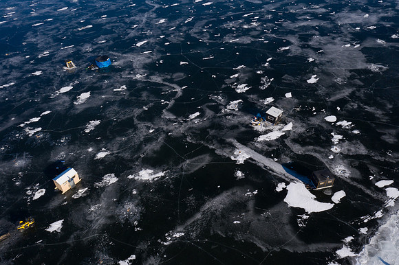icefish-352