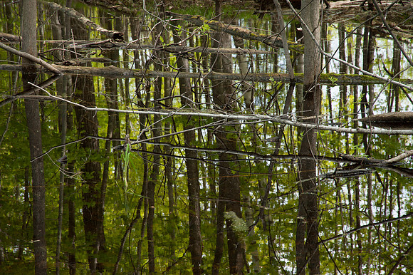 AndersonPond-56