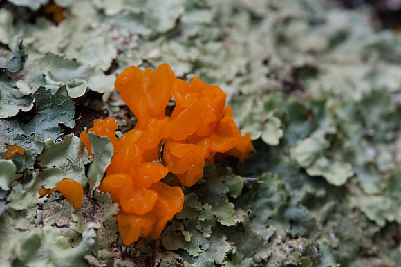 0913Ridges-66