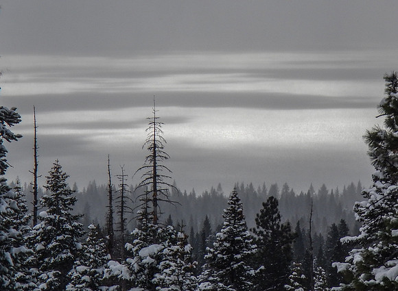 1207Snowshoe-136