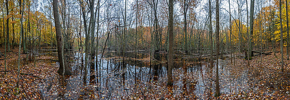 APondFallPano03