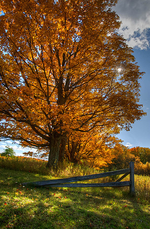 FallColor01