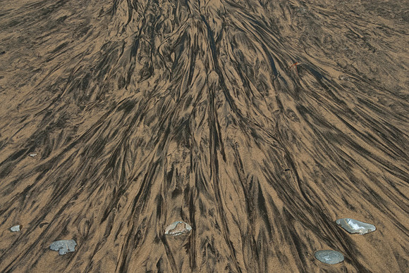 SandPaint32481