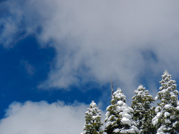 Snowshoe3-28-12-132