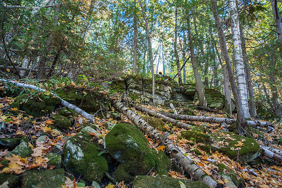 BayshoreBFall14-45