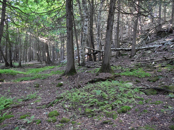 PenParkHike-6-2