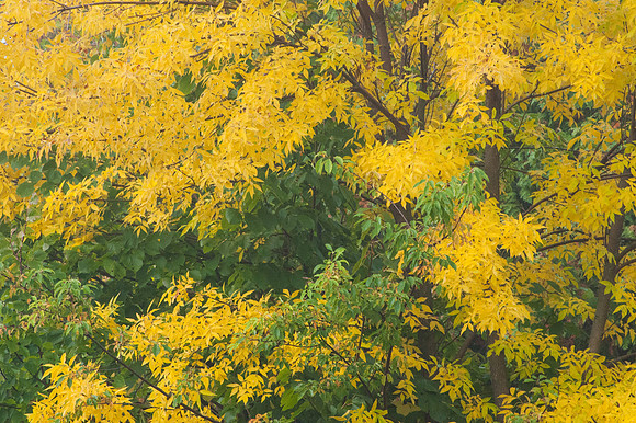FallFarm-1